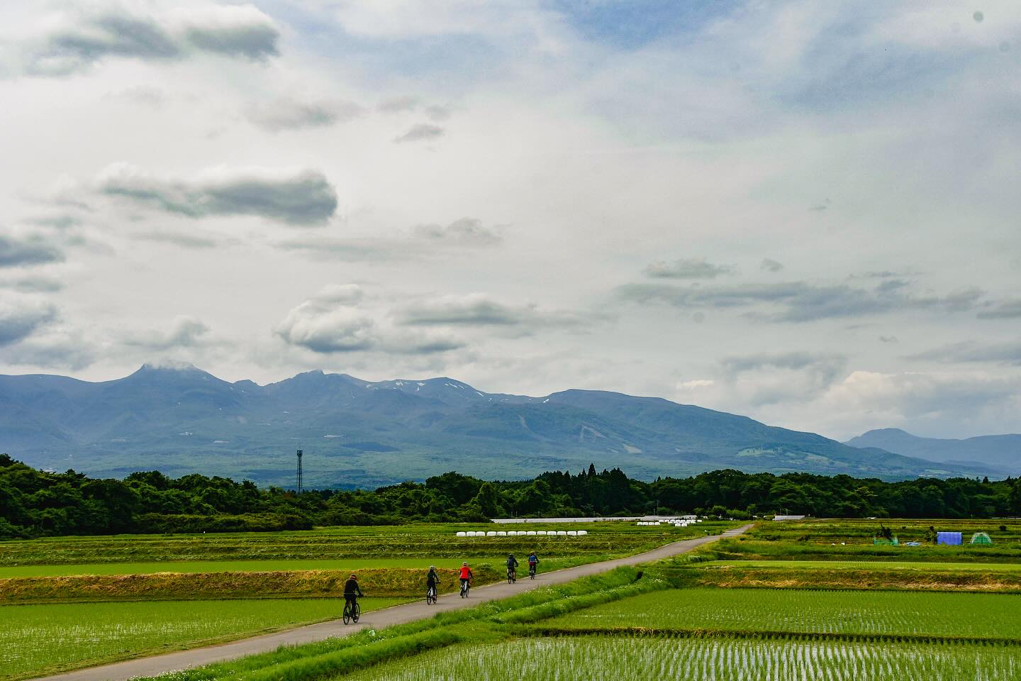 A Taste of Rural Japan: Foodie’s Bike Tour Nasu–Nikko