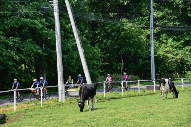 TRANS-TOHOKU Bike Tour Kicks Off! Ride Across Northern Japan
