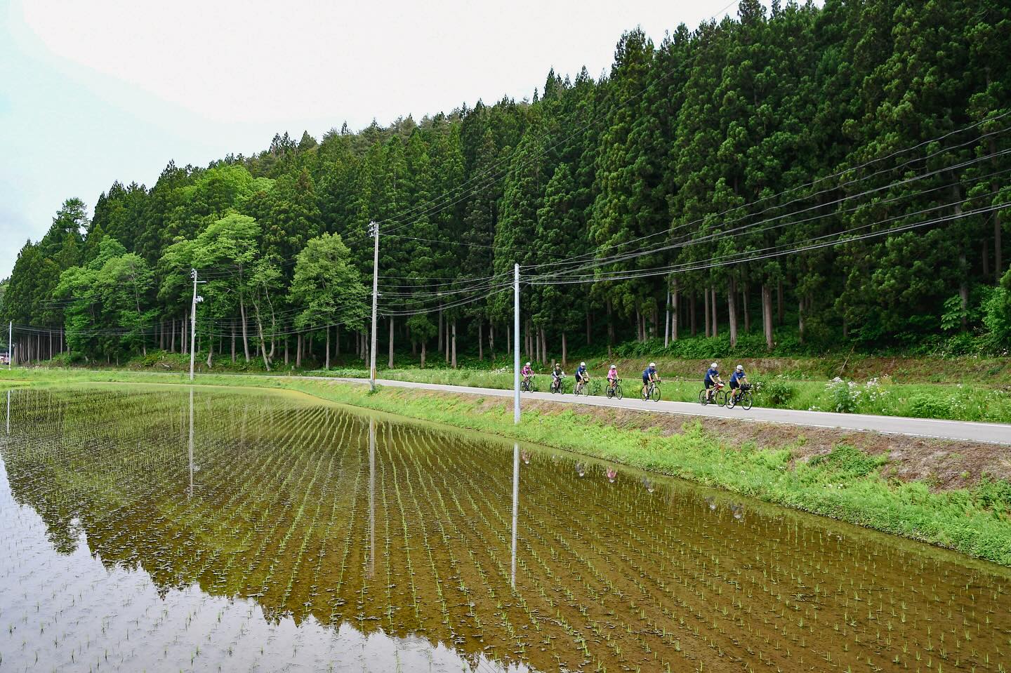 TRANS-TOHOKU Bike Tour Kicks Off! Ride Across Northern Japan