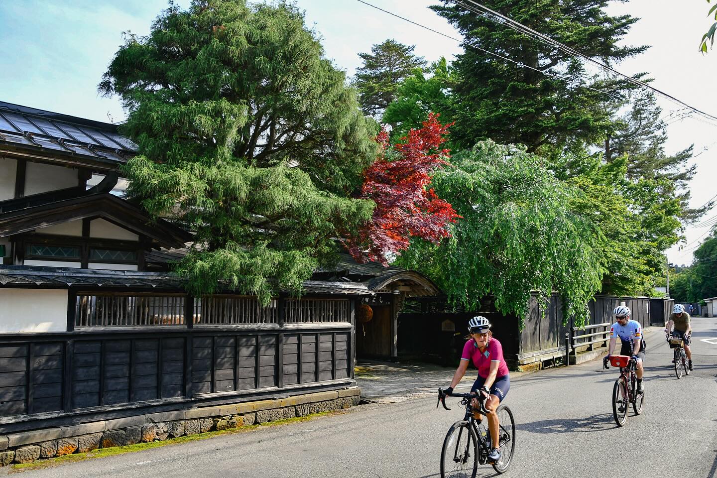 Sacred Peaks & Coastal Views: TRANS-TOHOKU in Motion