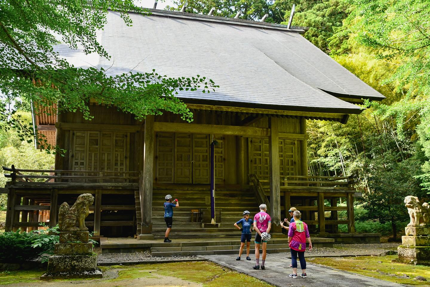 Sacred Peaks & Coastal Views: TRANS-TOHOKU in Motion
