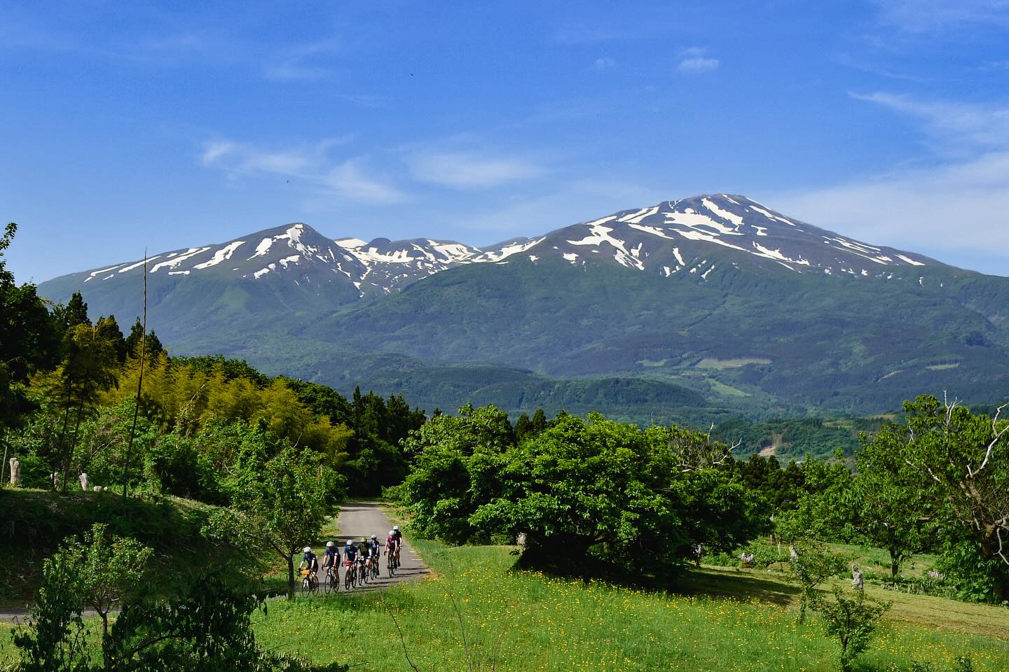 Sacred Peaks & Coastal Views: TRANS-TOHOKU in Motion