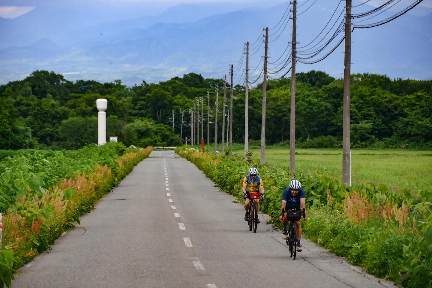 Sacred Peaks & Coastal Views: TRANS-TOHOKU in Motion