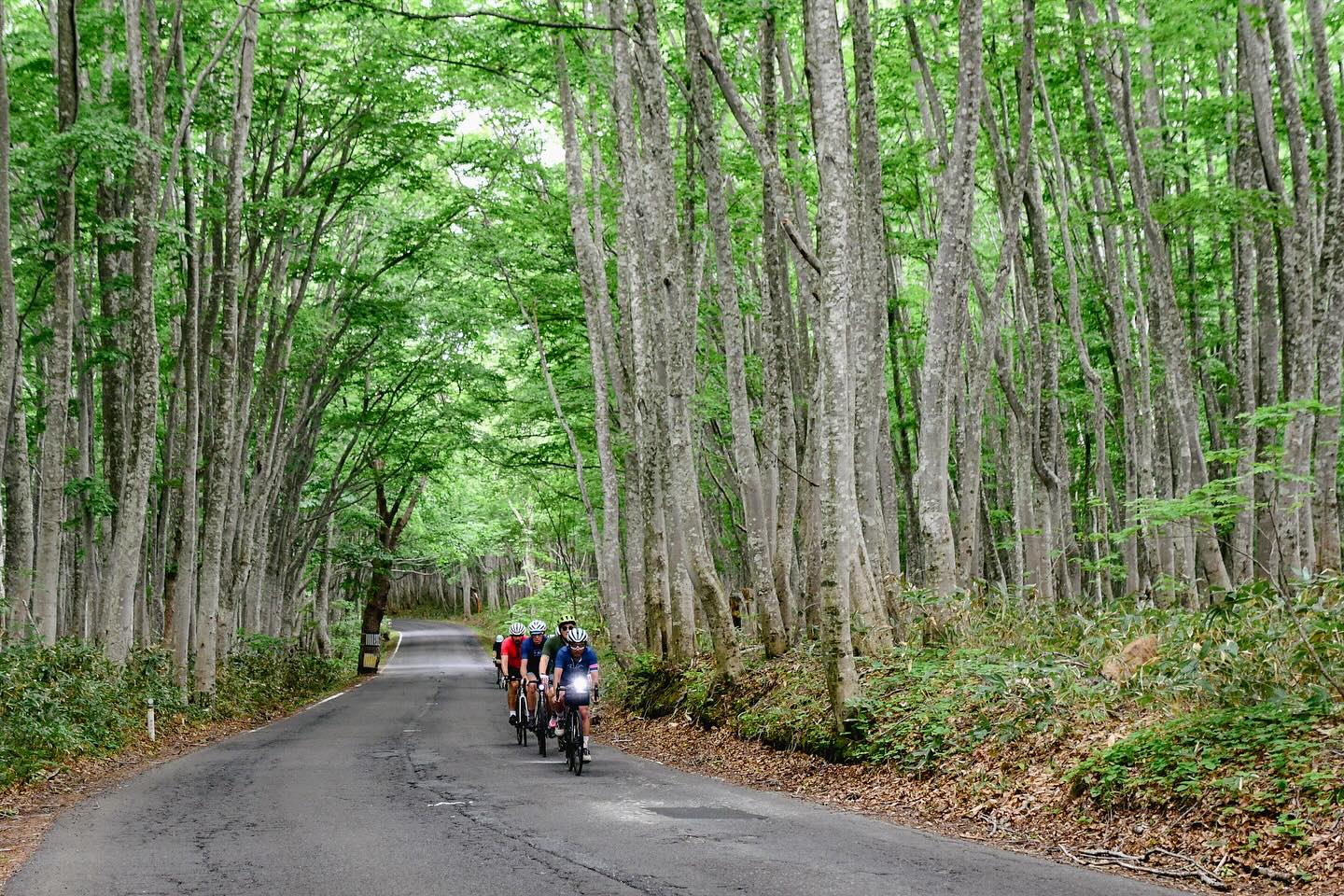 Cycling North: From Akita to Aomori on Two Wheels