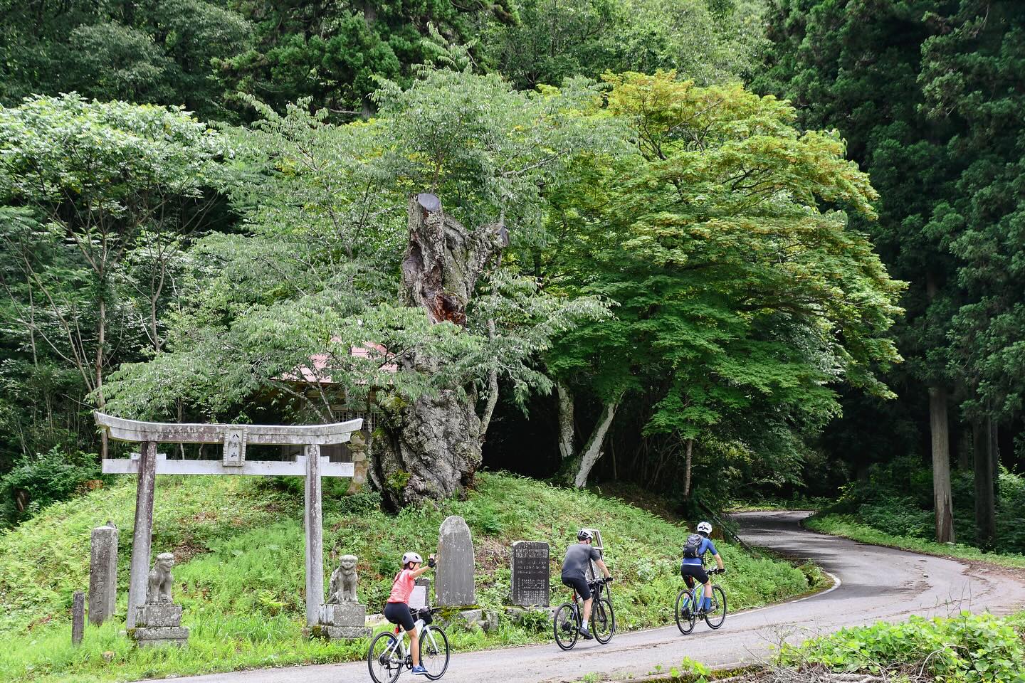 A Stylish Escape between Nasu and Nikko