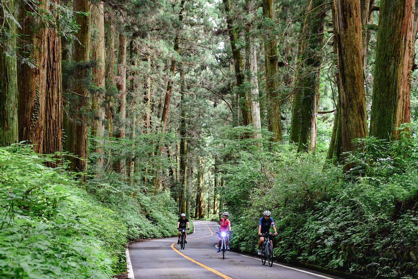 A Stylish Escape between Nasu and Nikko