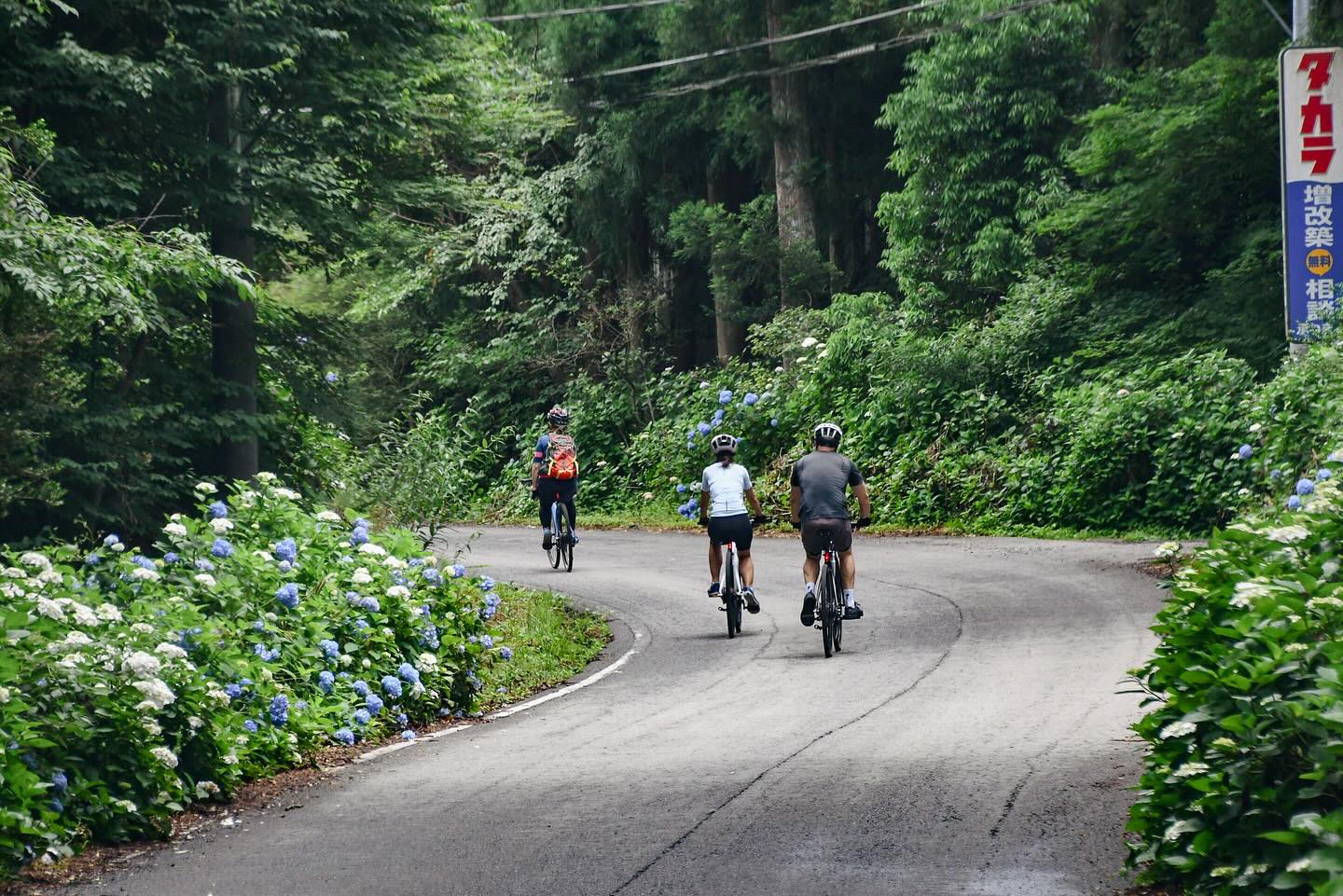 A Stylish Escape between Nasu and Nikko