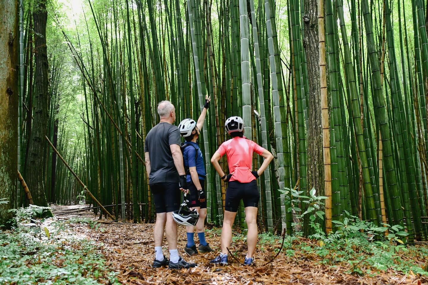A Stylish Escape between Nasu and Nikko