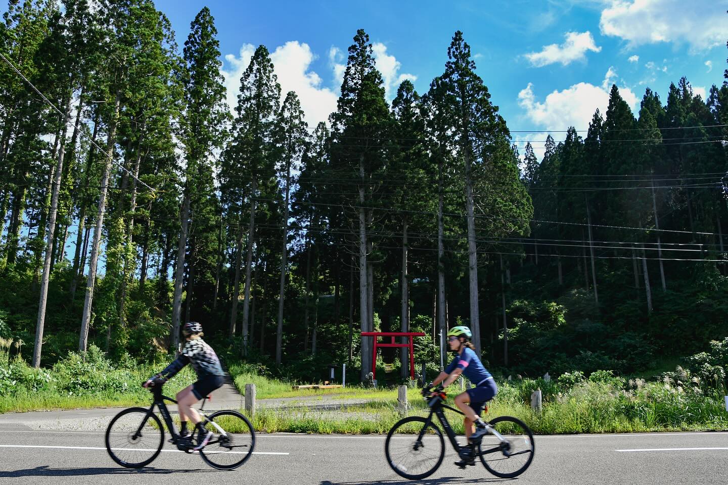 Harvest Flavors & Samurai Roads: TRANS-TOHOKU Journey Continues