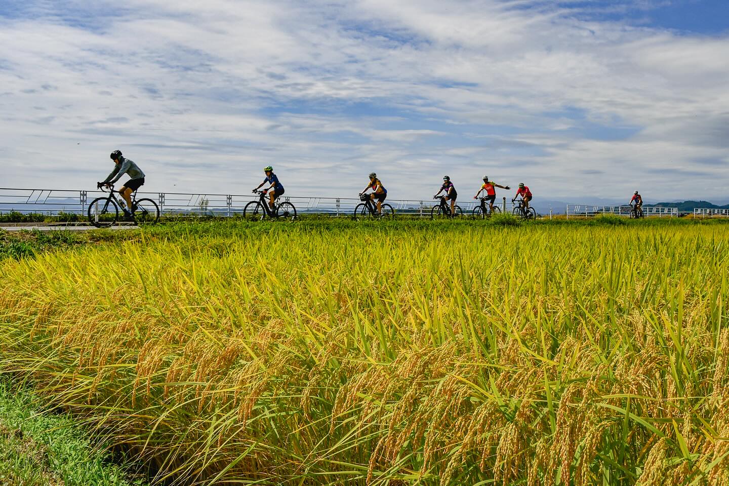 Harvest Flavors & Samurai Roads: TRANS-TOHOKU Journey Continues