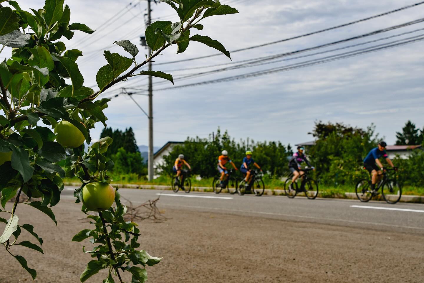From Nasu to Aomori: TRANS-TOHOKU Complete