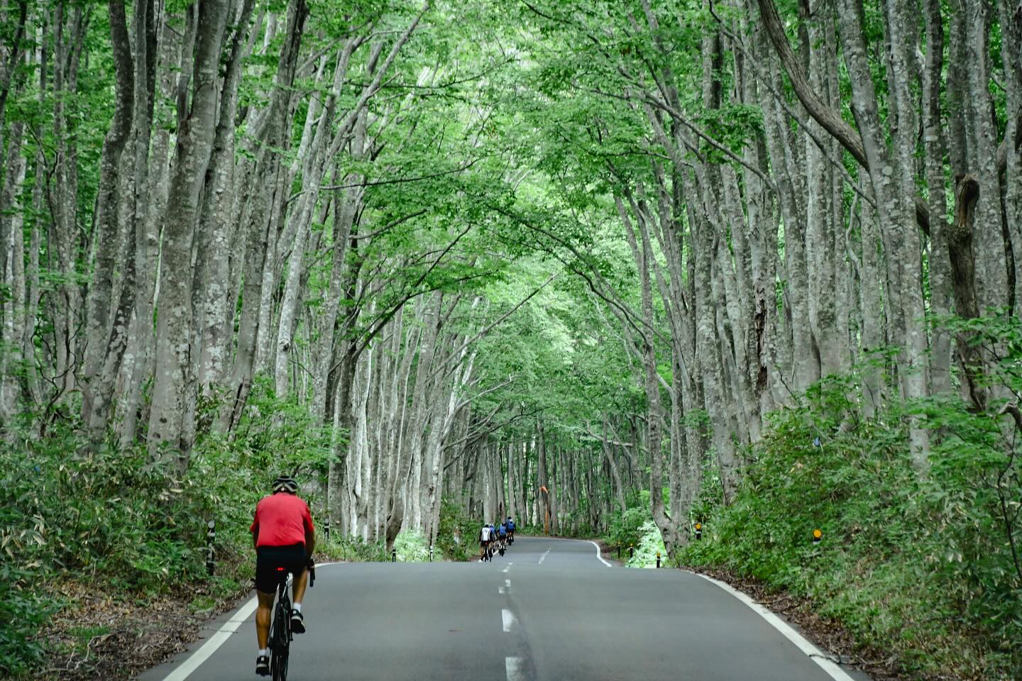 From Nasu to Aomori: TRANS-TOHOKU Complete