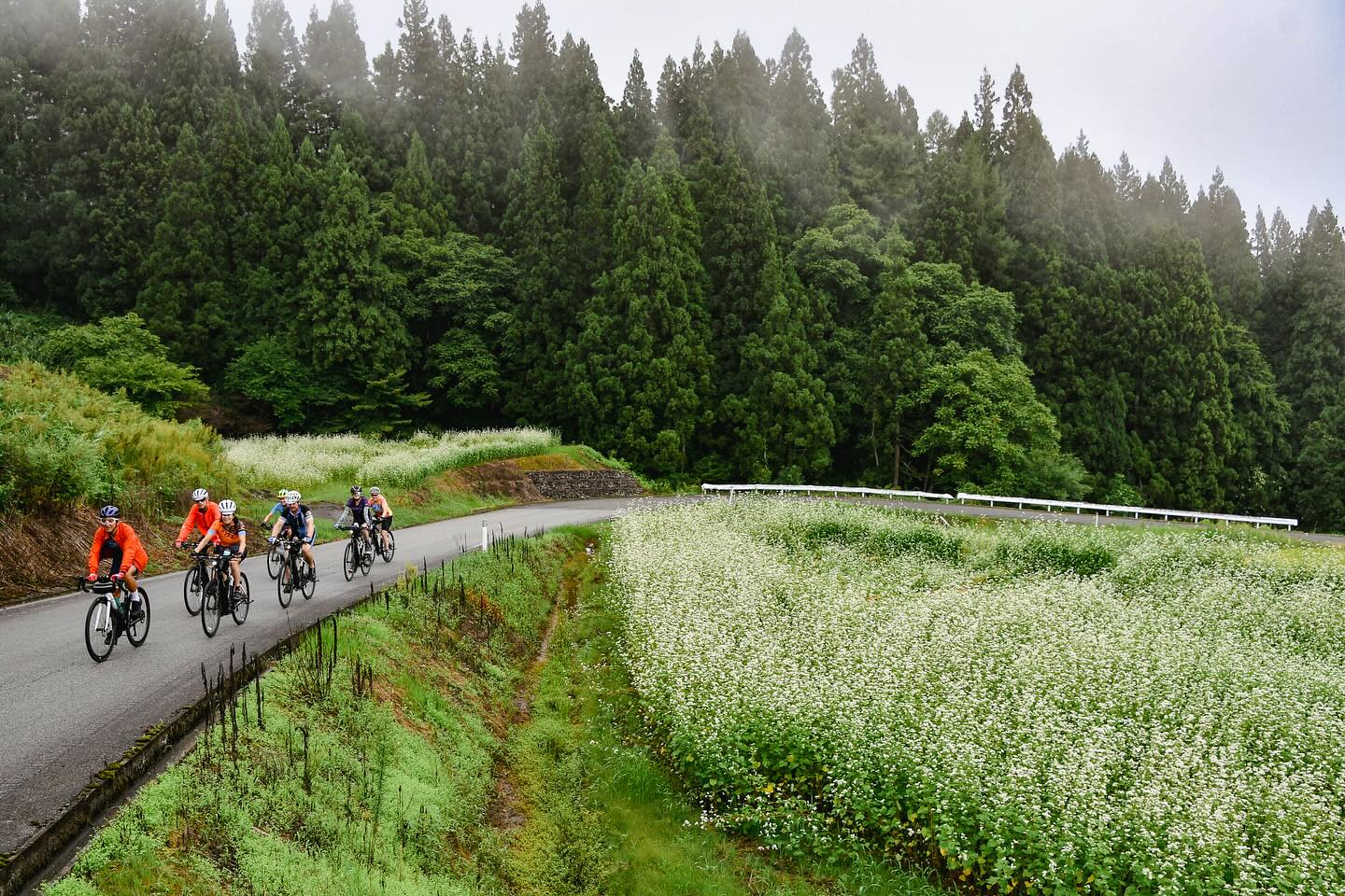 Harvest Flavors & Samurai Roads: TRANS-TOHOKU Journey Continues