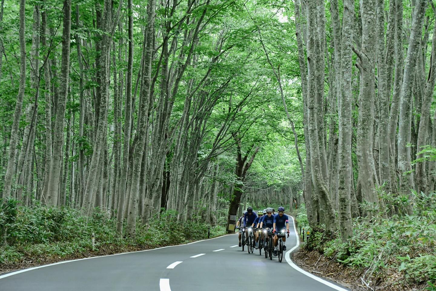 From Nasu to Aomori: TRANS-TOHOKU Complete