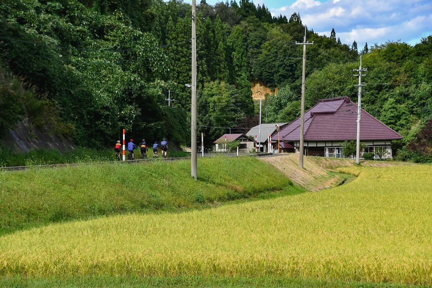 Trans-Tohoku Bike Tour: An Epic Journey Through Japan’s Northern Heartland