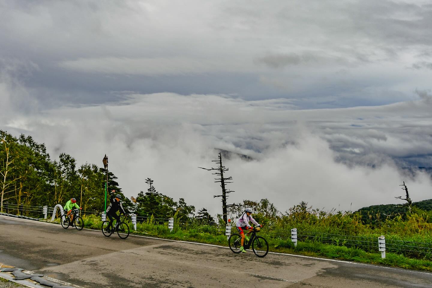 Trans-Tohoku Bike Tour: An Epic Journey Through Japan’s Northern Heartland