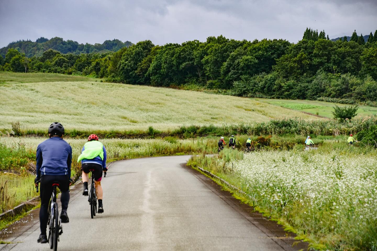 Trans-Tohoku Bike Tour: An Epic Journey Through Japan’s Northern Heartland