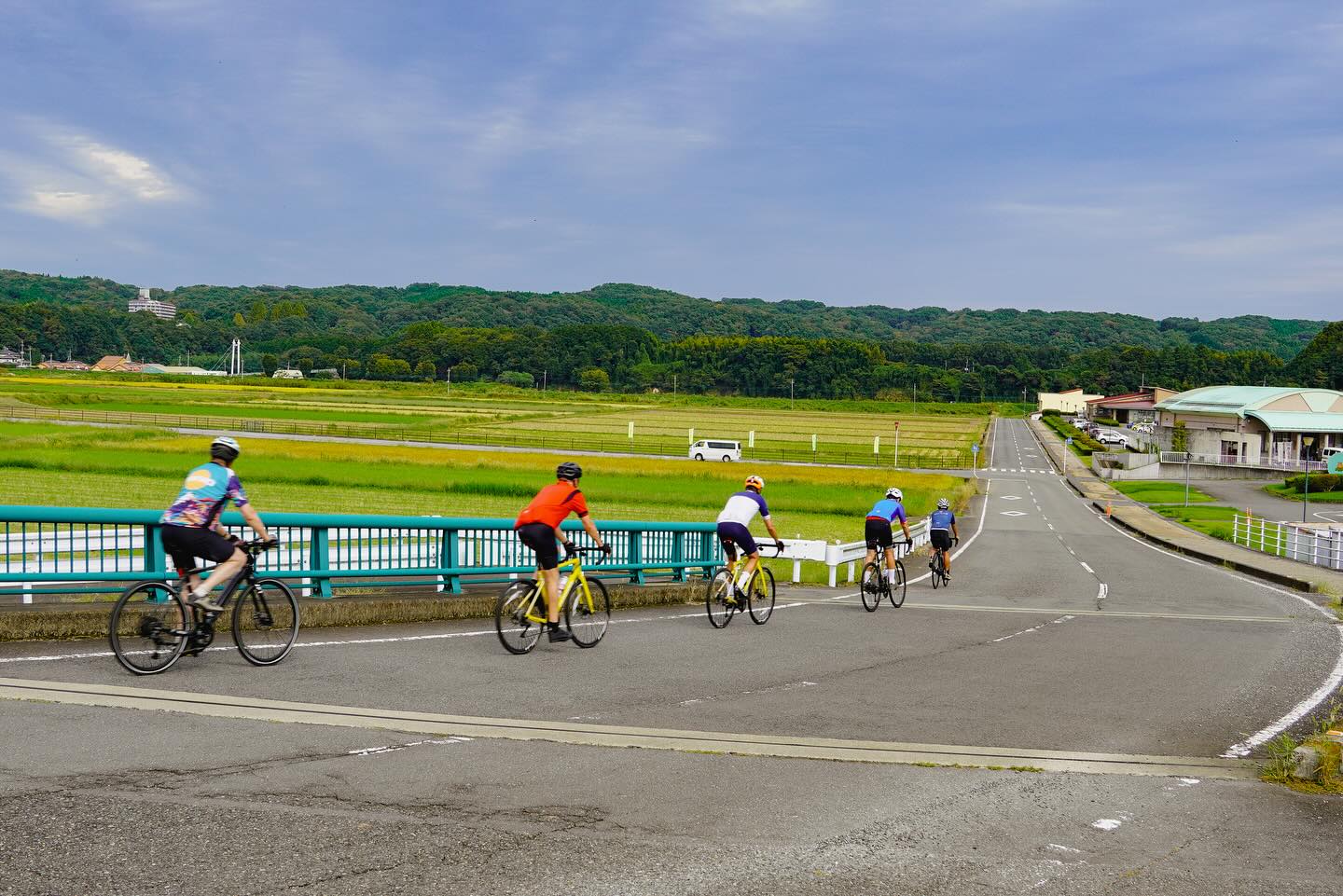 Autumn Journeys in Motion: A Private Cycling Tour Through Nasu & Nikko