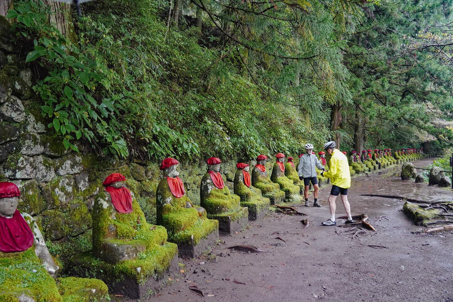 Autumn Journeys in Motion: A Private Cycling Tour Through Nasu & Nikko