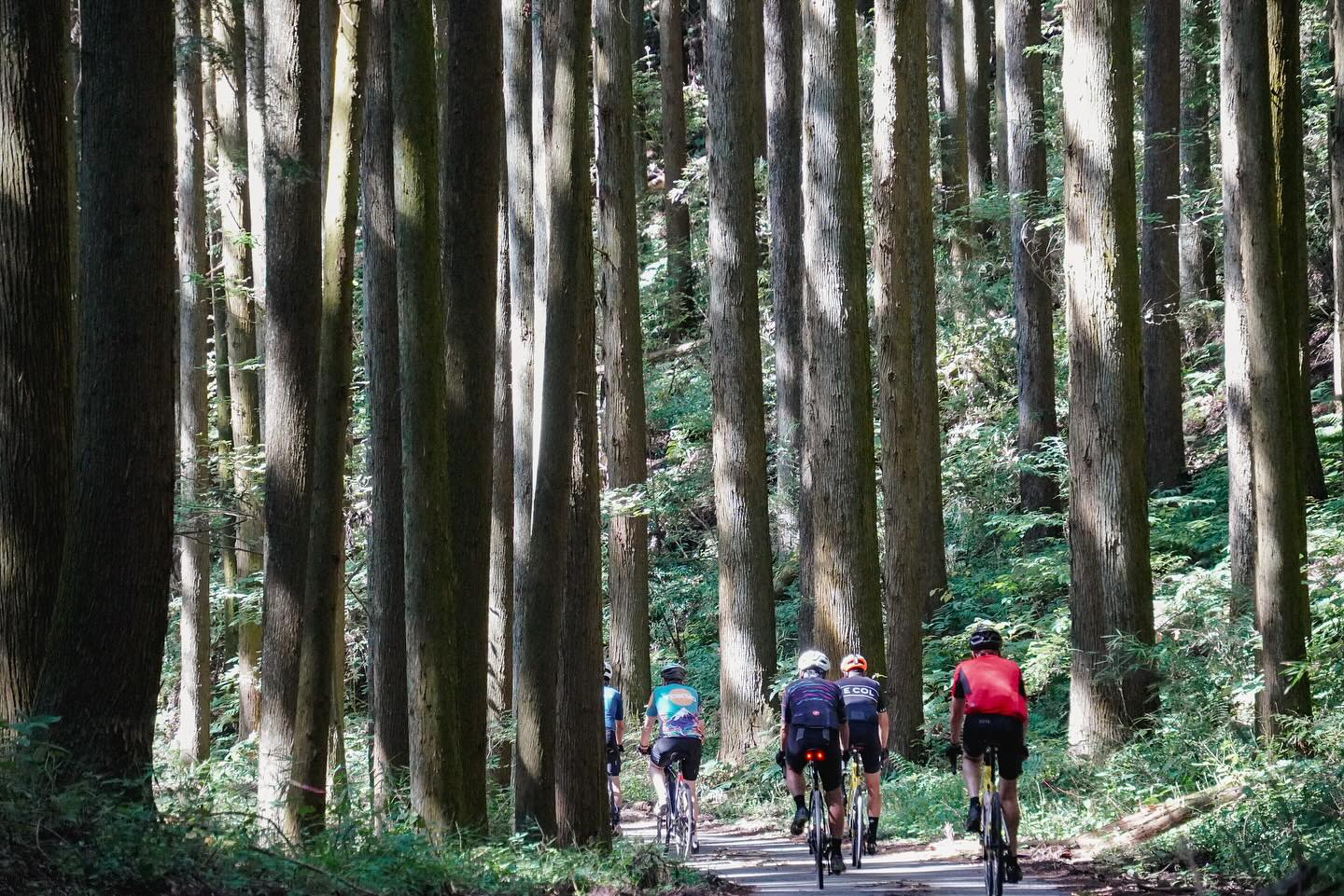 Autumn Journeys in Motion: A Private Cycling Tour Through Nasu & Nikko