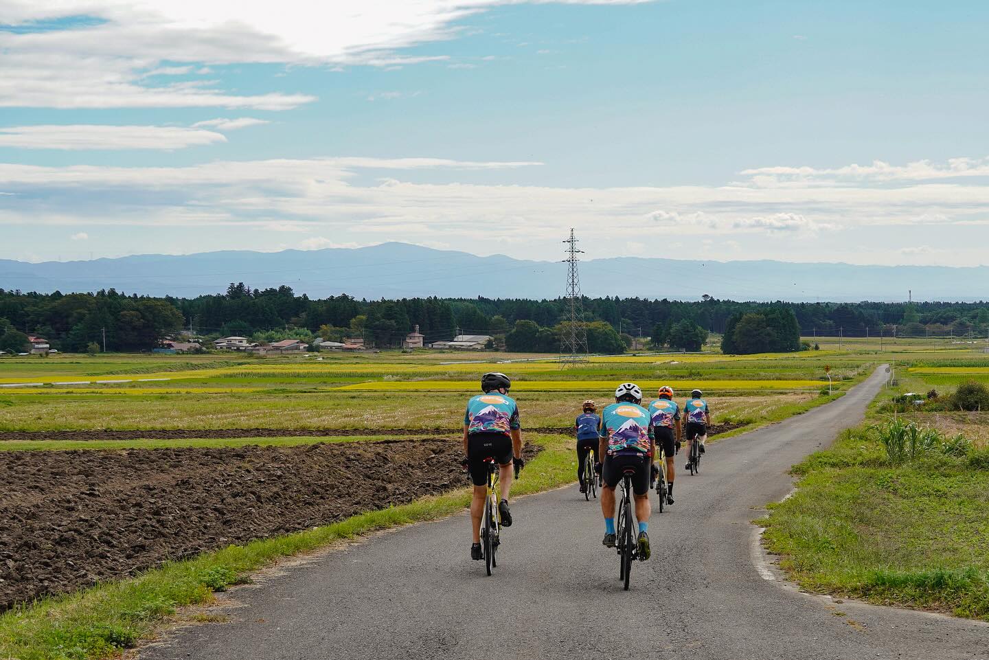 Autumn Journeys in Motion: A Private Cycling Tour Through Nasu & Nikko