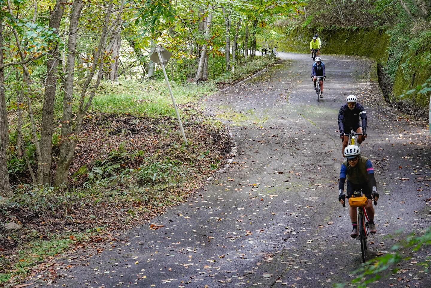 Autumn Journeys in Motion: A Private Cycling Tour Through Nasu & Nikko