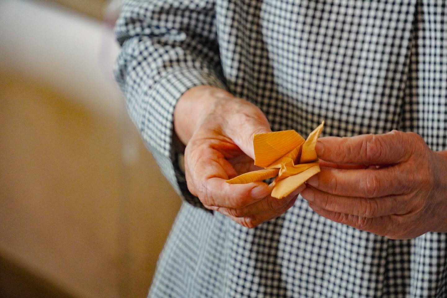 Autumn Journeys in Motion: A Private Cycling Tour Through Nasu & Nikko