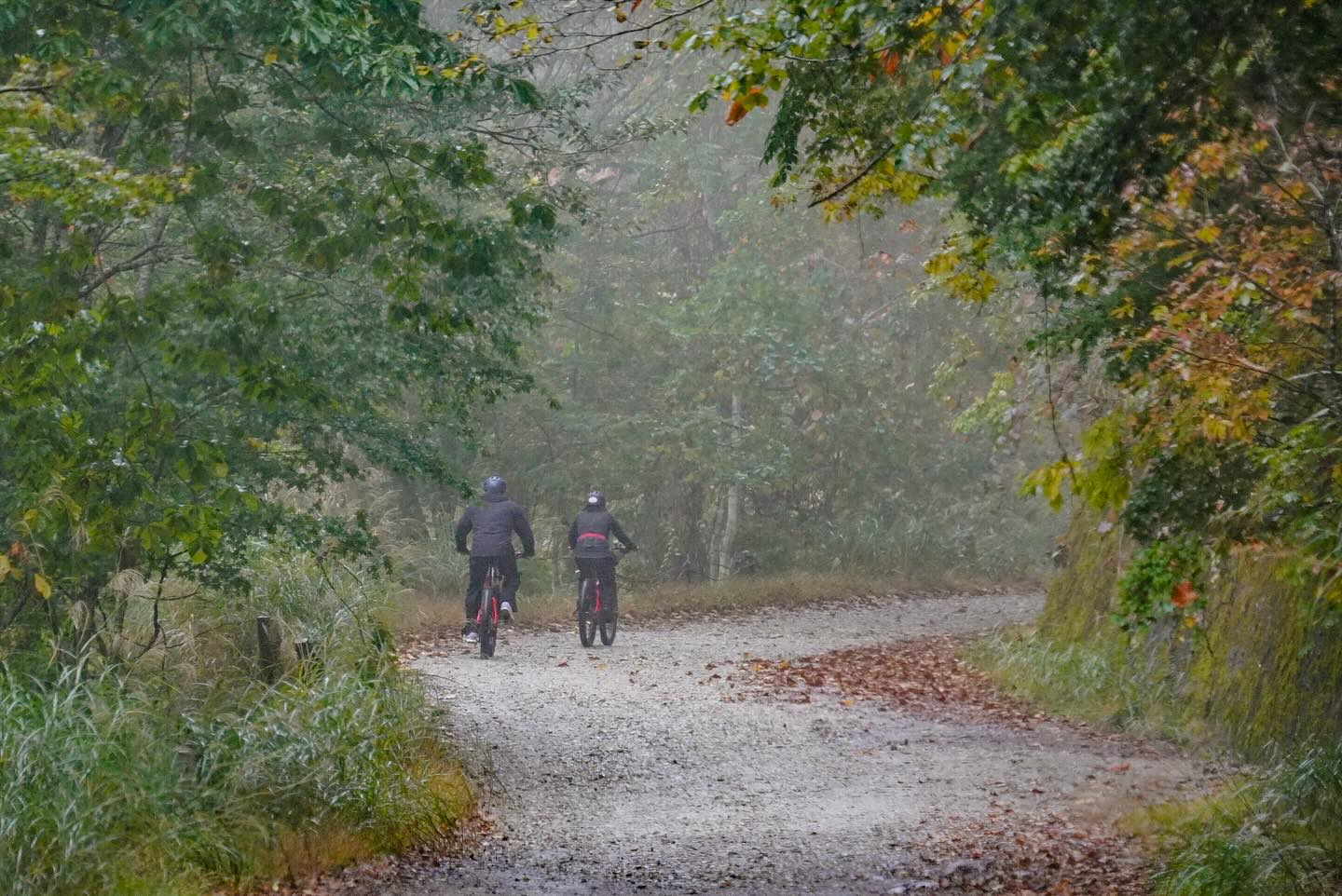 Where Heritage Meets Nature: Explore Hidden Nikko by E-Bike