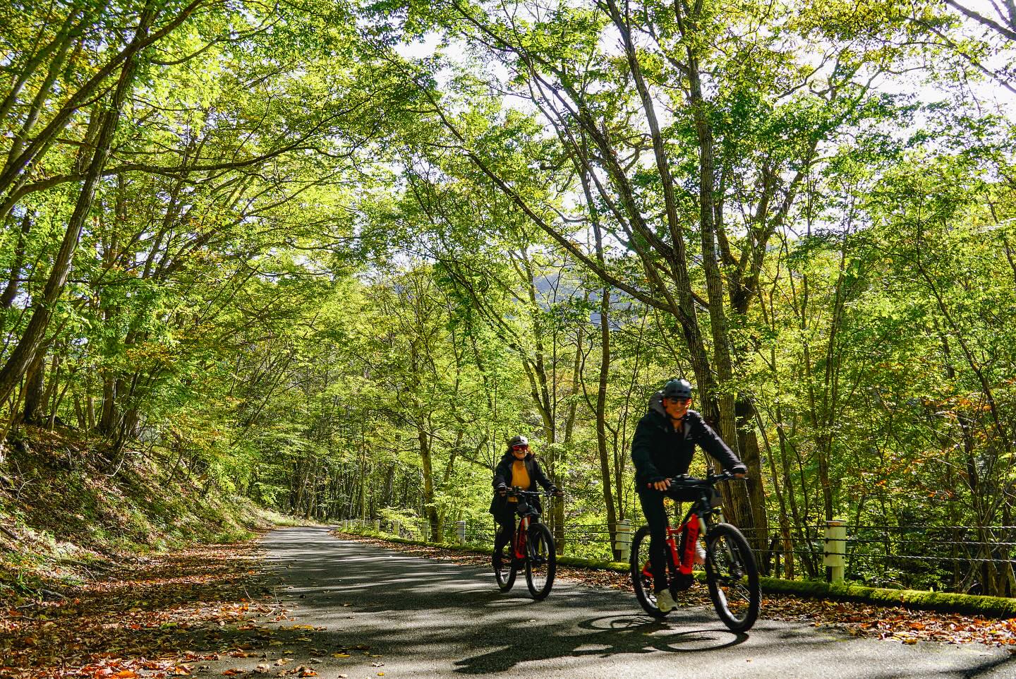 Where Heritage Meets Nature: Explore Hidden Nikko by E-Bike