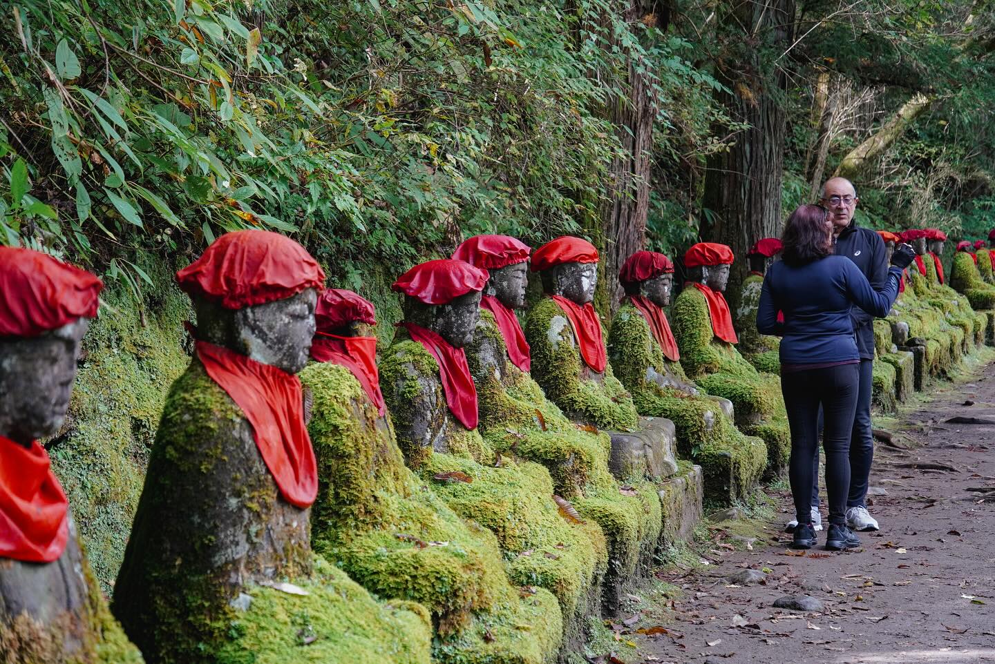Where Heritage Meets Nature: Explore Hidden Nikko by E-Bike