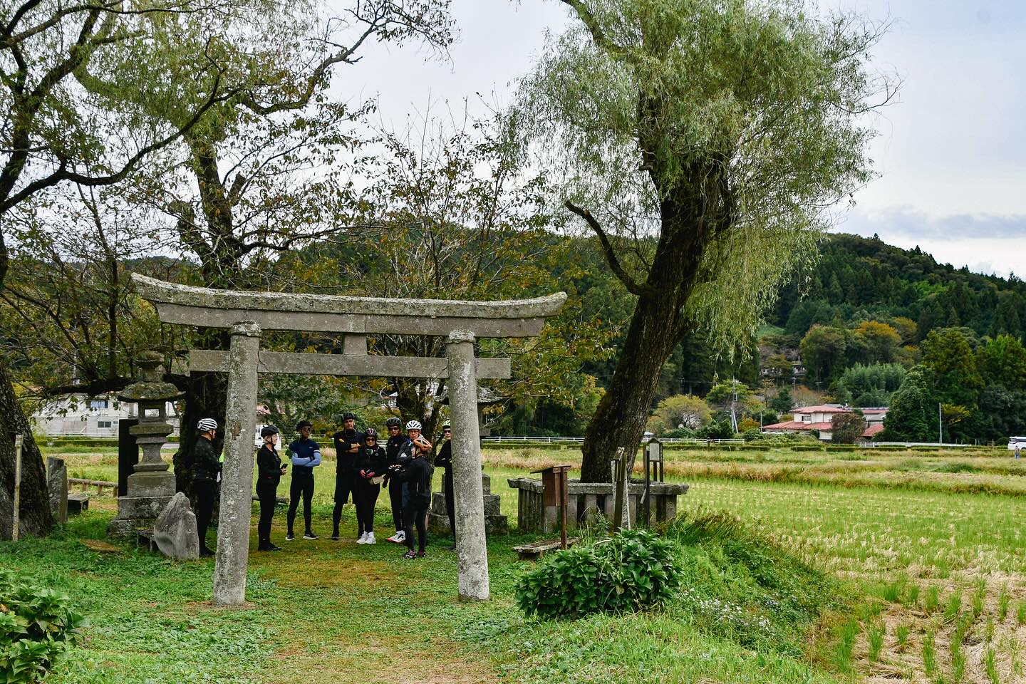 Savor the Seasons: Foodie’s Bike Tour NASU – NIKKO