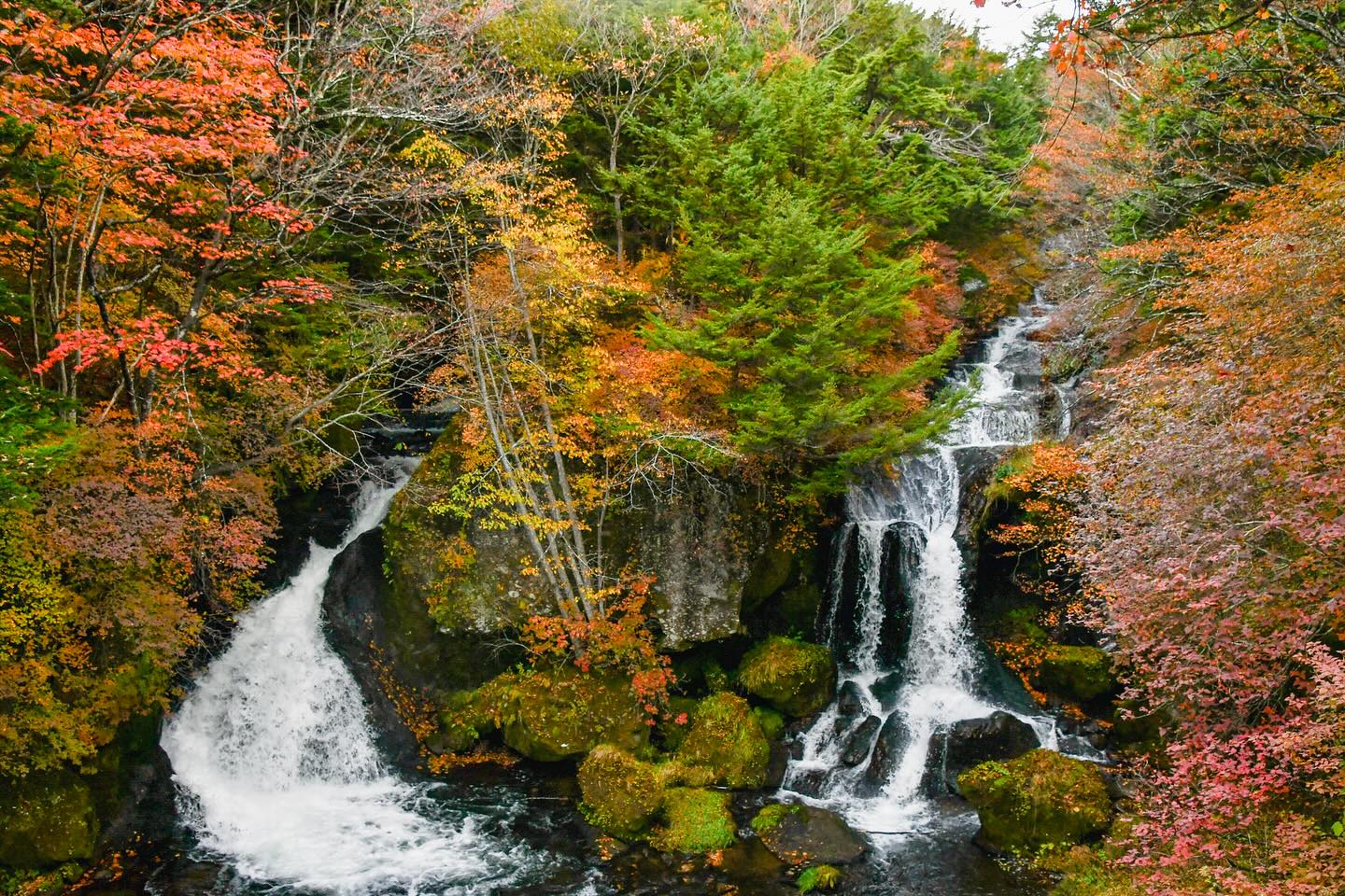 Savor the Seasons: Foodie’s Bike Tour NASU – NIKKO