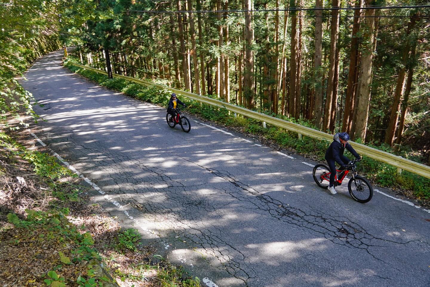 Where Heritage Meets Nature: Explore Hidden Nikko by E-Bike
