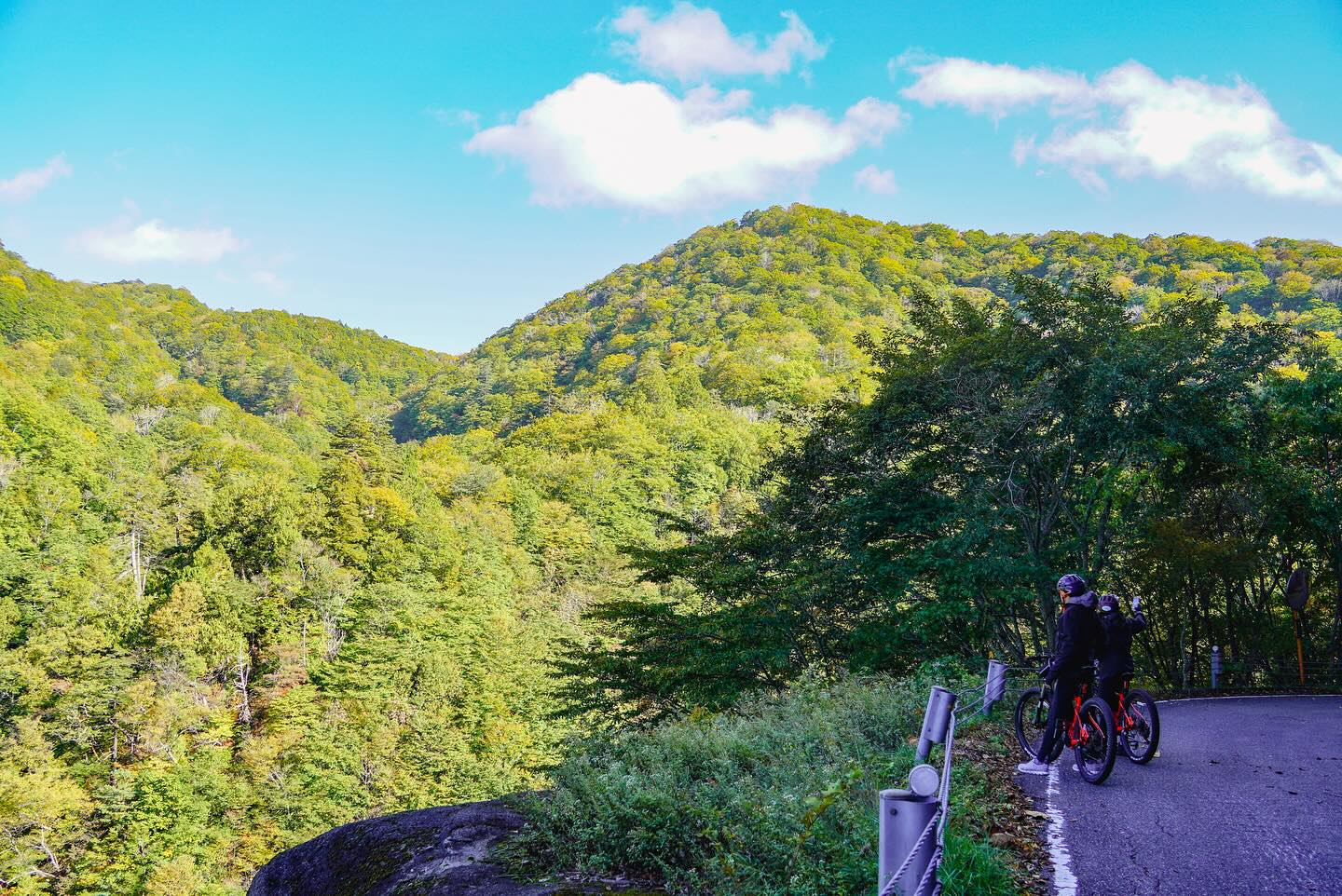 Where Heritage Meets Nature: Explore Hidden Nikko by E-Bike