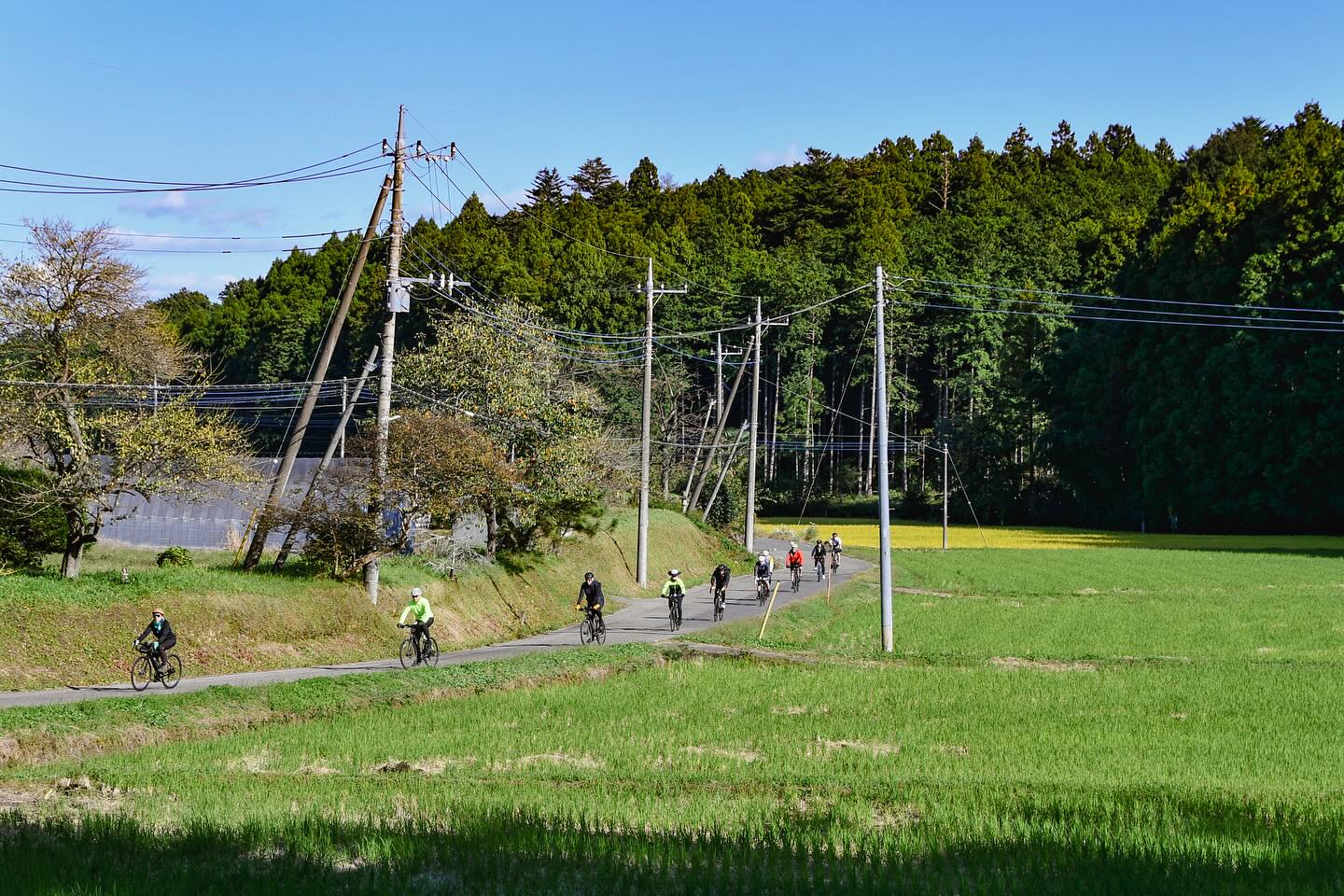 Savor the Seasons: Foodie’s Bike Tour NASU – NIKKO