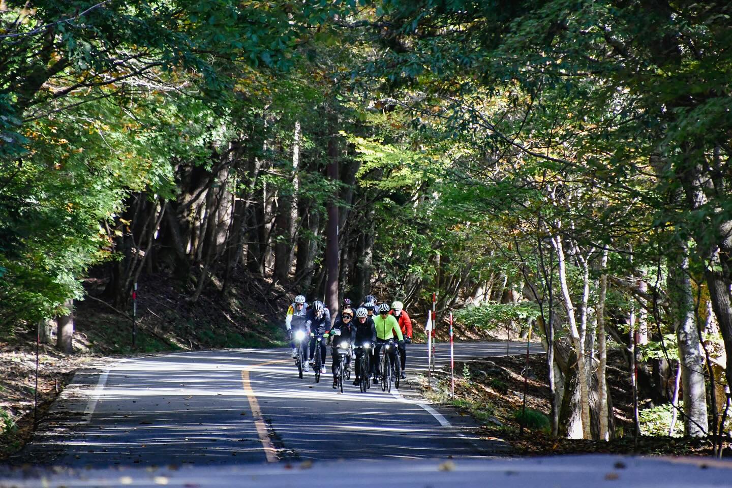 Savor the Seasons: Foodie’s Bike Tour NASU – NIKKO