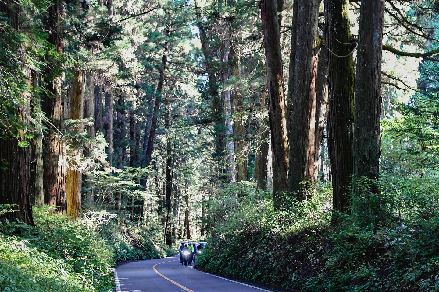 Savor the Seasons: Foodie’s Bike Tour NASU – NIKKO