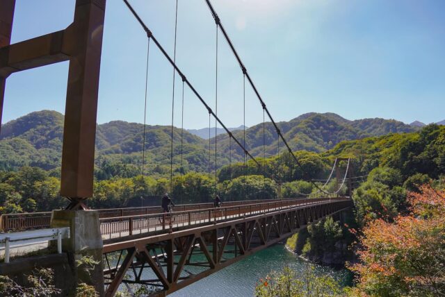 Where Heritage Meets Nature: Explore Hidden Nikko by E-Bike