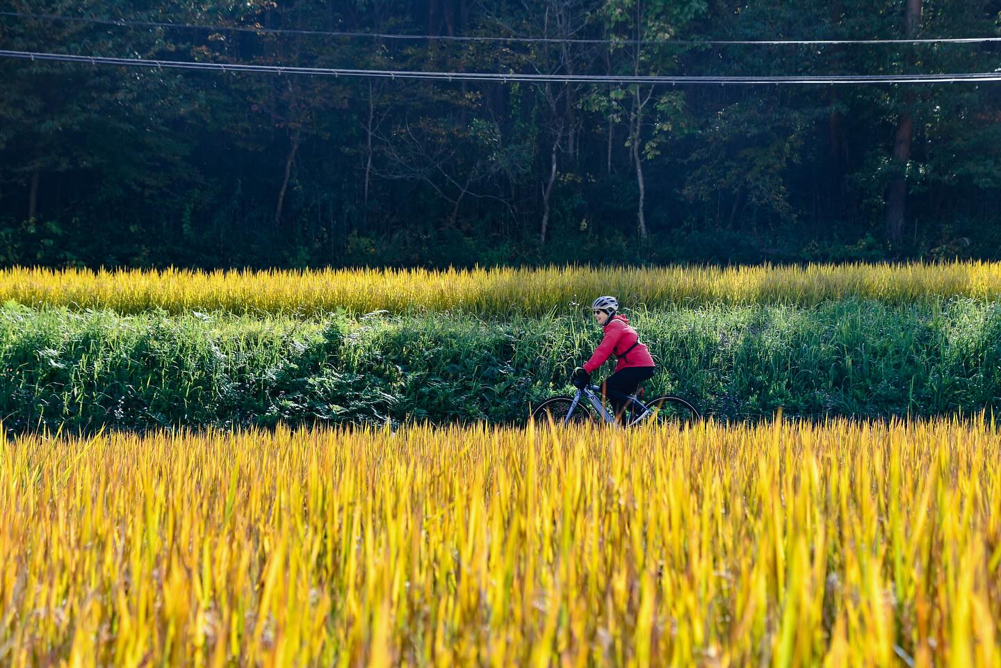 Satoyama in Full Color: Craft & E-Bike Journey from Nasu to Mashiko