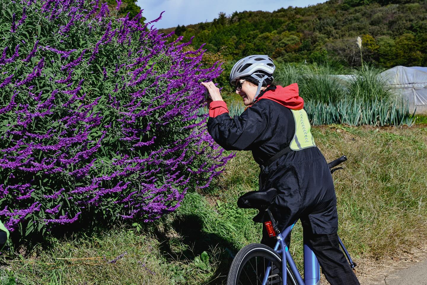 Satoyama in Full Color: Craft & E-Bike Journey from Nasu to Mashiko