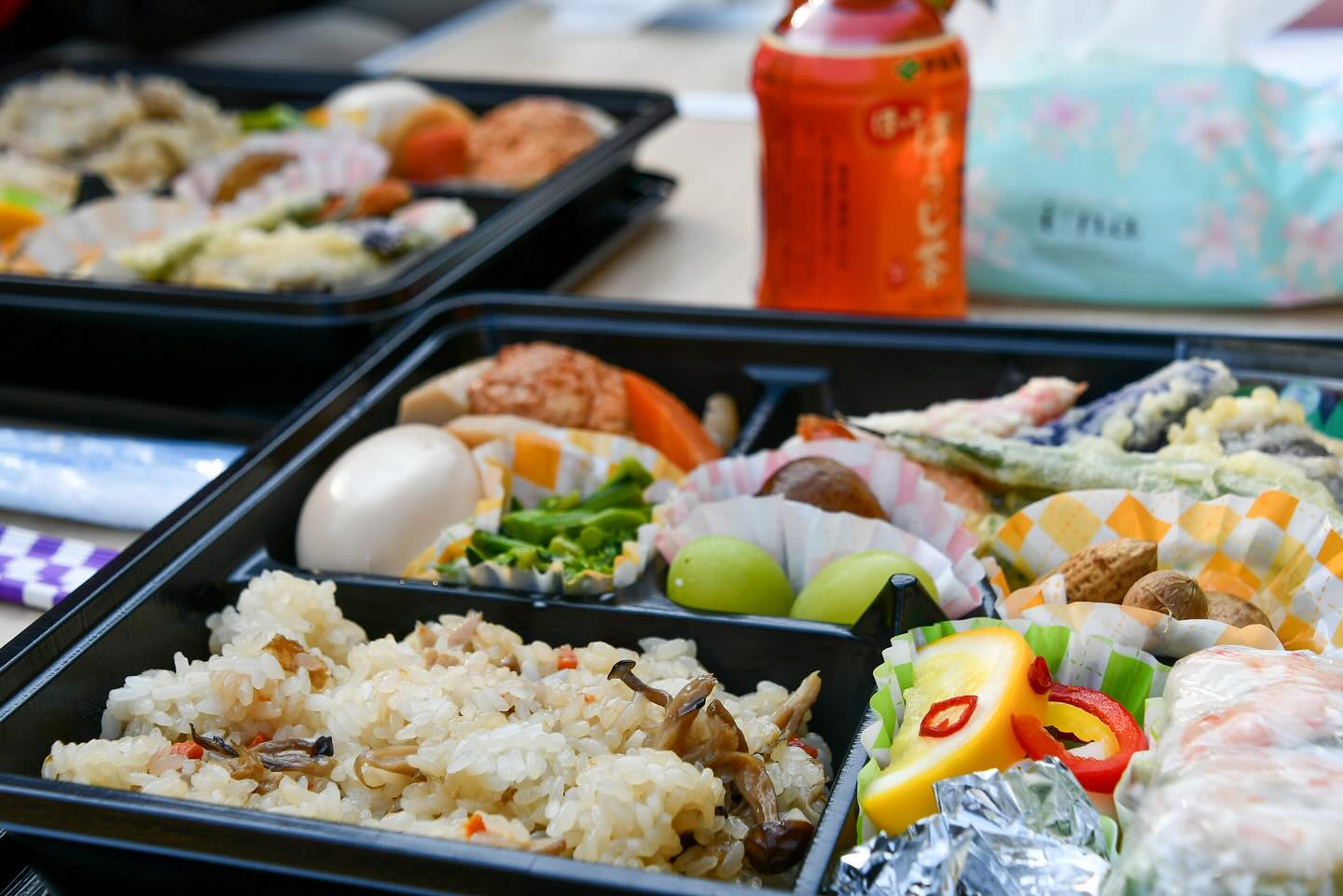 Satoyama in Full Color: Craft & E-Bike Journey from Nasu to Mashiko