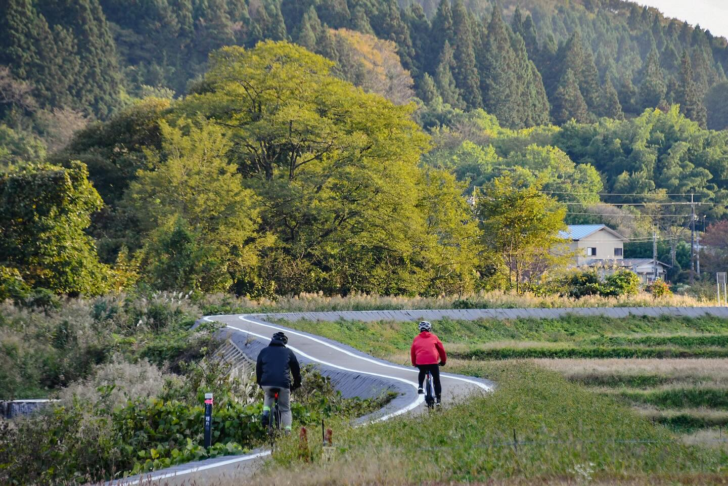 Satoyama in Full Color: Craft & E-Bike Journey from Nasu to Mashiko