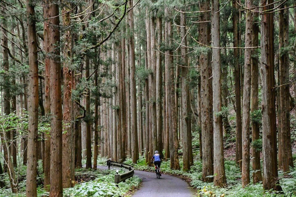 Happy New Year 2026!