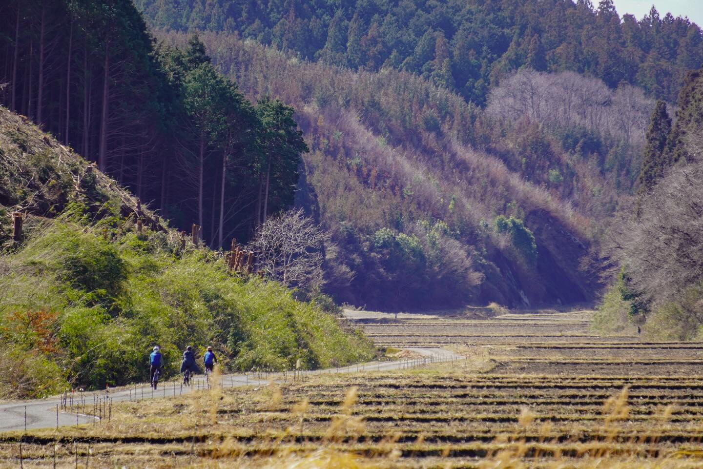 SHIZEN – the harmonious interconnection between humans and nature