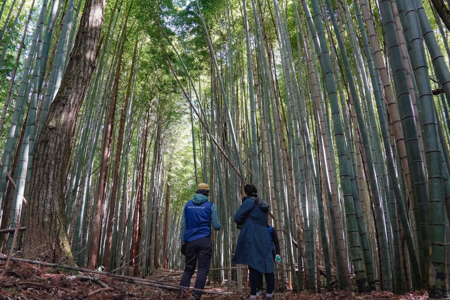 SHIZEN – the harmonious interconnection between humans and nature