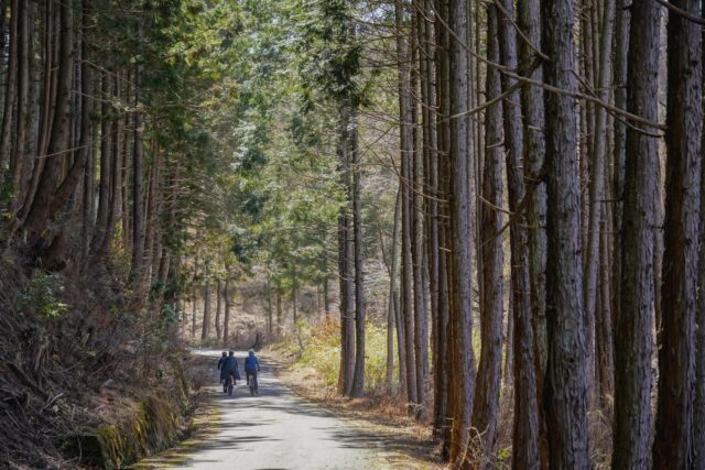 SHIZEN – the harmonious interconnection between humans and nature