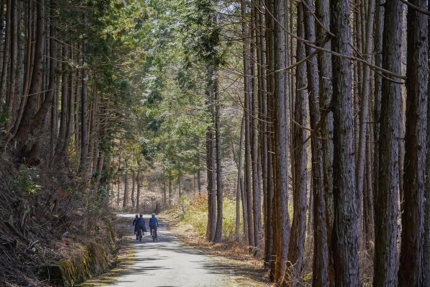 SHIZEN – the harmonious interconnection between humans and nature