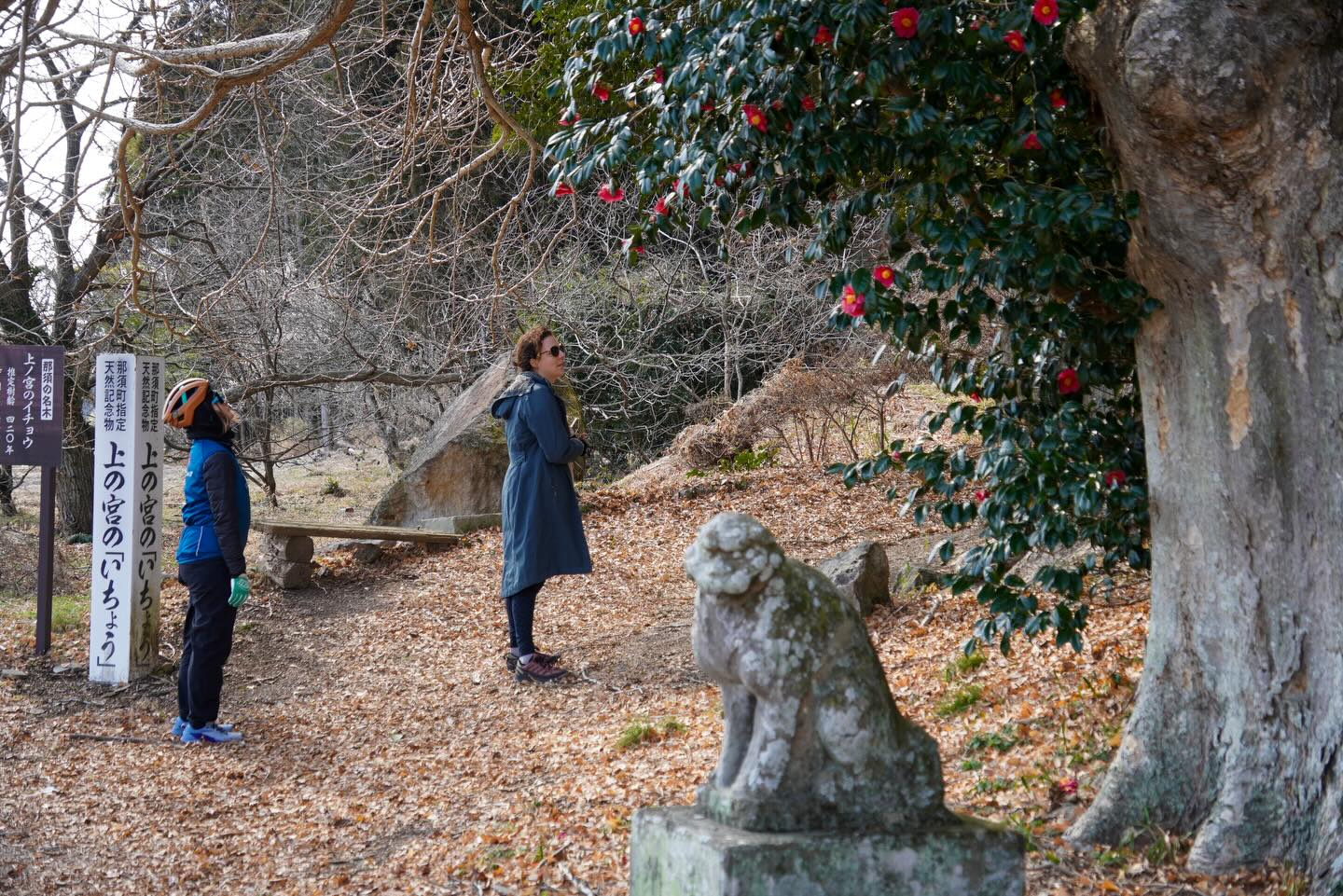 SHIZEN – the harmonious interconnection between humans and nature