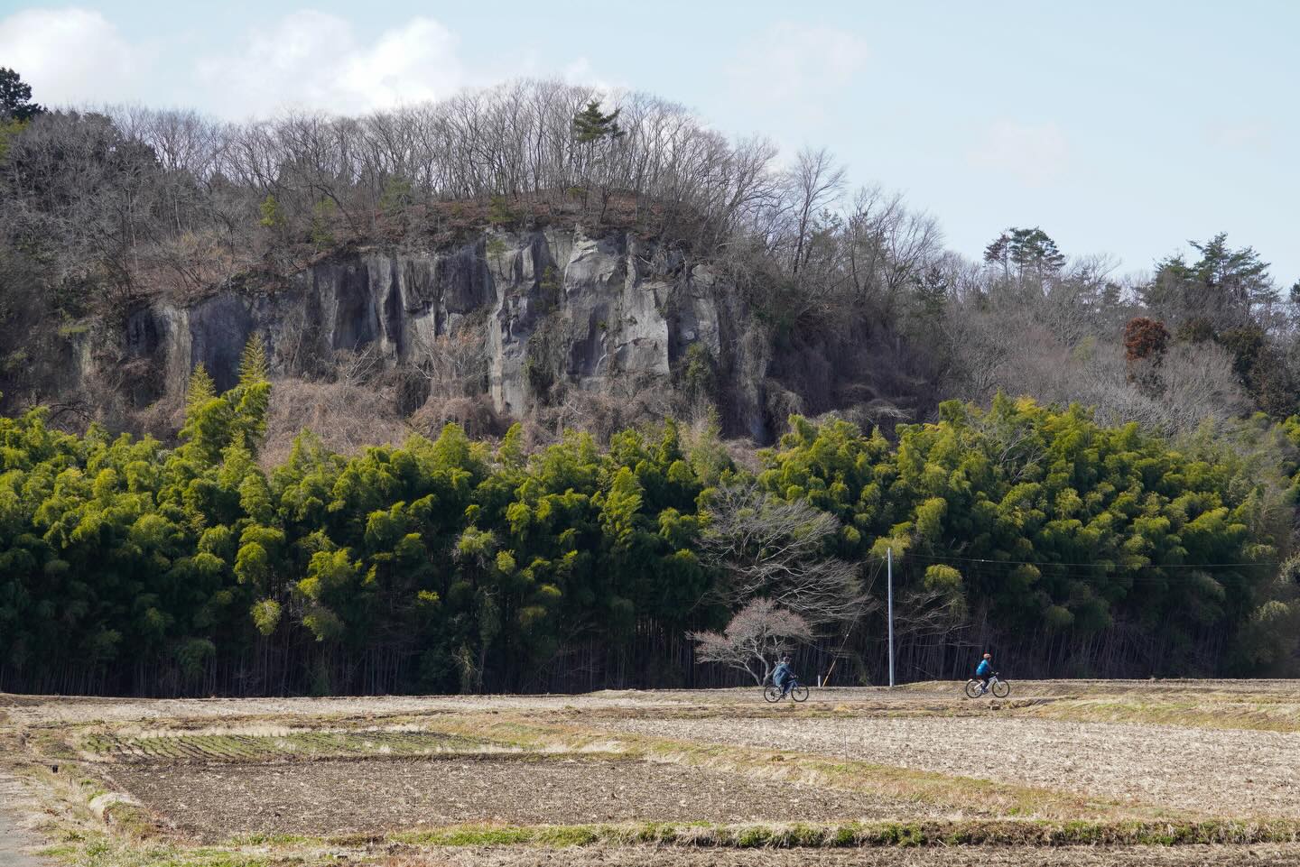 SHIZEN – the harmonious interconnection between humans and nature