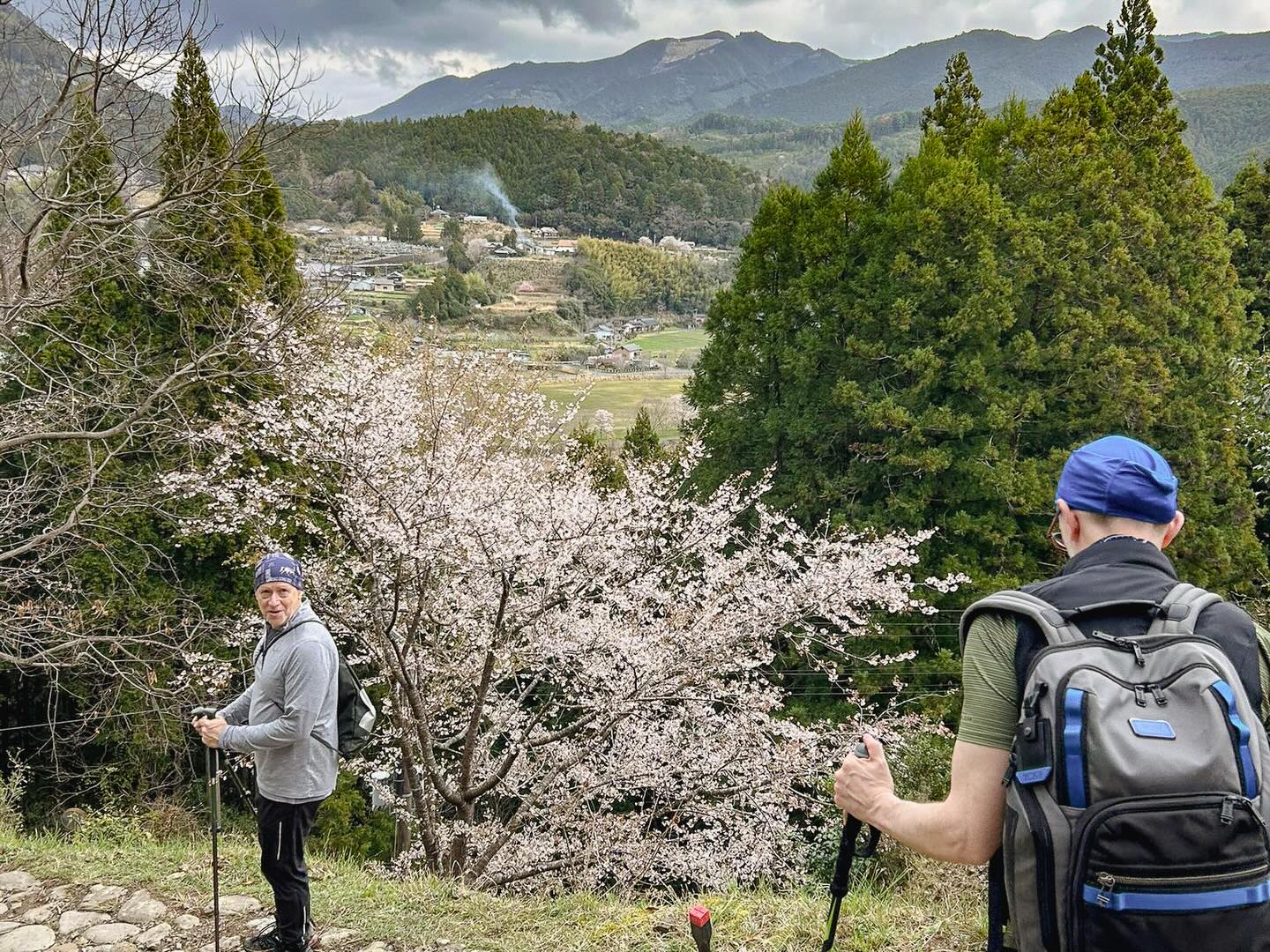 Cherry Blossoms and Ancient Trails: Kumano Kodo Bike & Hike Tour